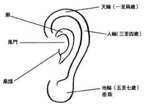 耳朵細 面相|面相入门